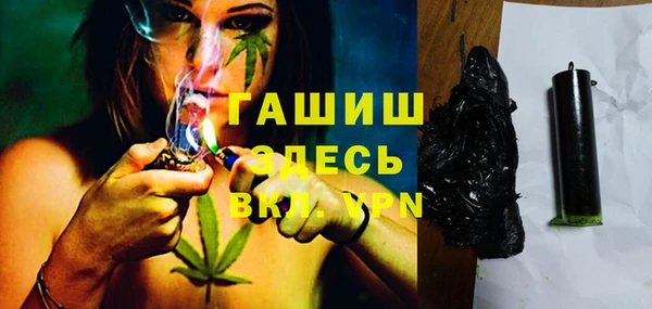 гидра Вяземский