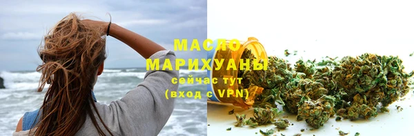 гидра Вяземский