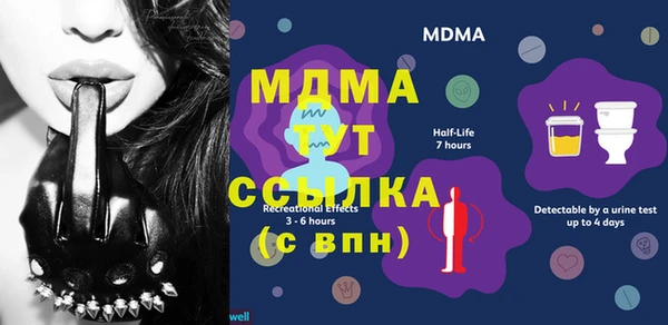 гидра Вяземский