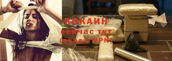 spice Снежногорск