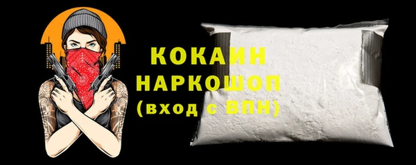 гидра Вяземский