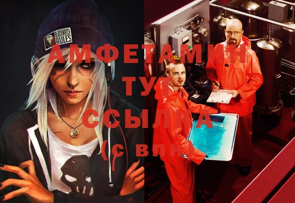 молекула духа Снежинск