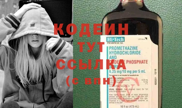 гидра Вяземский