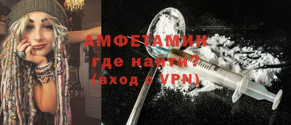 гидра Вяземский