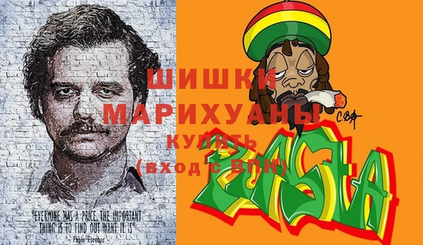 гидра Вяземский