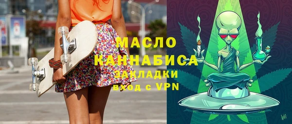 гидра Вяземский