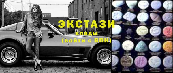 гидра Вяземский