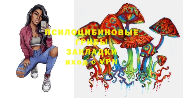 твердый Вязьма