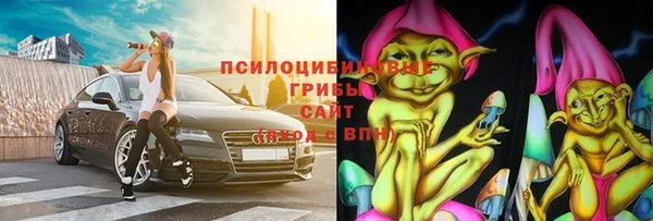 гидра Вяземский