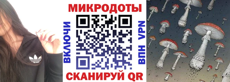Галлюциногенные грибы Psilocybine cubensis  Чехов 